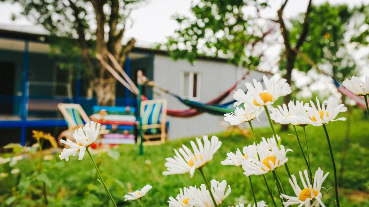 Bebo Babu Guest House Kutaisi Ngoại thất bức ảnh