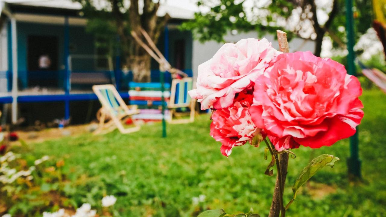 Bebo Babu Guest House Kutaisi Ngoại thất bức ảnh